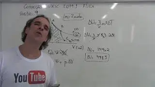 Correção UDESC 2019 1 Física Questão 9