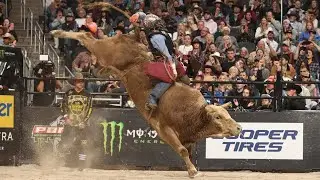 Full Throttle to Victory! Andrew Alvidrez Wins Indy with a MONSTER 92.25 Point
