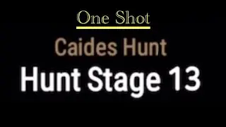Caides Hunt 100% One Shot Team