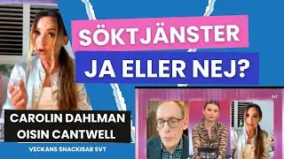 Debatt mellan Carolin Dahlman och Oisin Cantwell i SVT Veckans snackisar