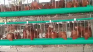 Jessup farm service