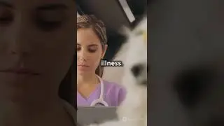 AI Revolutionizing Dog Care: A Game Changer!