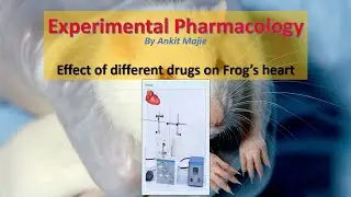 Effect of different drugs on isolated Frog&rsquo;s heart || Ex Pharm Series Software