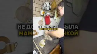 ‼️‼️‼️‼️ внимательно прочитайте закреплений комментарий #live #этожизнь #образжизни #life #lifestyle
