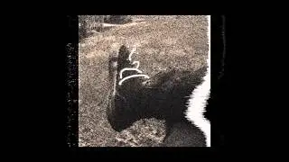 mathbonus - mania