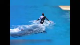 Awesome Fish Stunt in Tank