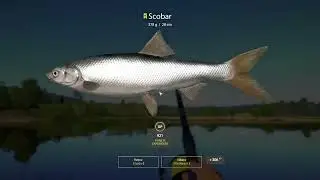 Russian fishing 4 - Awesome drill