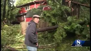 Tall trees  crash into Boulder Creek homes