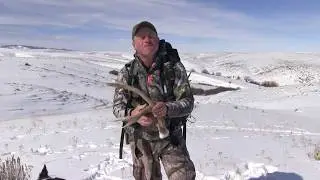 Mark Kayser outlines when to go shed antler hunting, copyright Mark Kayser