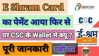 E Shram Payment Update 2022 | पर CSC के Wallet में क्यू ? | पूरी जानकारी | SushiL Digital Seva