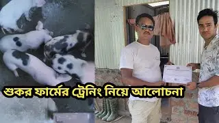 Earn money pig farming || pig farm || pig feed formula || @Smart Indian Farming