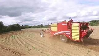 Arrachage pomme de terre 2020, Grimme varitron 470, 4 rangs