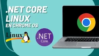 Instalar .NET CORE / Chromebook