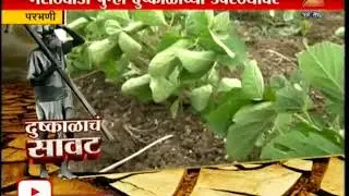 Parbhani 05 farmer Suicide Cause Of Drought