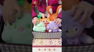 衣柜里邊的衣服用#折疊收納箱 整齊收納，衣服再也不亂糟糟了，拿取也方便#收納整理  #衣柜收納  #衣柜
