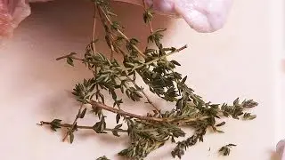 How To Put Herbs Under Turkey Skin