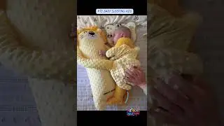 Amazon Viral Baby Sleep Biddy! Changed my life!