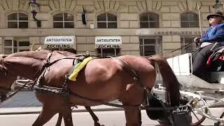 A glimpse of Vienna