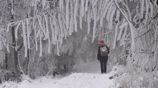 To the Icy Realm of Skalnat&aacute; 704m and J&aacute;grov&aacute; 713m | Little Carpathians, SK