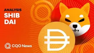 SHIB Day 🐕 - Analysis for SHIB and DAI