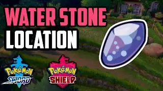 Где найти Водный камень &mdash; Pokemon Sword & Shield (все методы)
