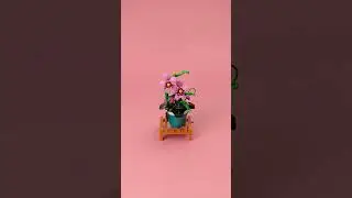 MAX Garden Phalaenopsis in Action! 🌸🎬 #MAX #ZURU