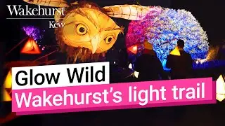 Glow Wild | Wakehurst