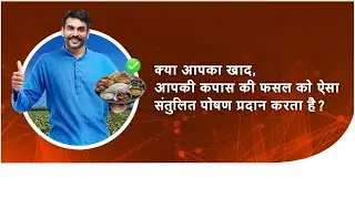Cotton Farming|Crop nutrition| NPK Fertilizers| Get High Yield | कैसे पाएं कपास में ज्यादा उत्पादन