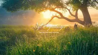 Soft Beginnings | Gentle Piano Playlist for Slow Days & Fresh Starts