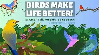 Birds Make Life Better! episode 154 | RV Small Talk Podcast
