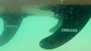 Coolcaa inflatable paddle board-lightable and stable