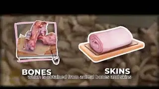 Gelatin is a smooth and sweet ingredient derived from collagen.#gelatina #collagen #manufacturer