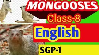 Mongoose |class-8 | |Odia medium |
