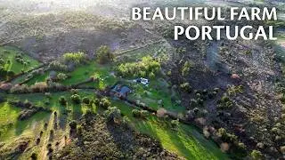 Beautiful 2 hectare farm FOR SALE near Monsanto  | €69,500 | Portugal Property