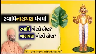 સ્વામિનારાયણમાં સ્વામિ કોણ? નારાયણ કોણ? | Swaminarayan | Pu. Hariswarupdasji Swami | Daily Satsang