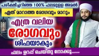 ഏത് രോഗവും ഷിഫയാകും പരീക്ഷിച്ചറിഞ്ഞ 100% ഫലമുള്ള അമൽ | സയ്യിദ് മുഹമ്മദ്‌ അർശദ് അൽ-ബുഖാരി