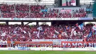ハルヲスイング／S側から見たNの光景【アルビレックス新潟】横浜F・マリノス戦／2025 明治安田J1リーグ 第20節 #albirex #アルビレックス新潟