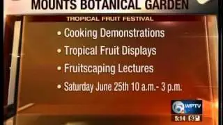 Tropical Fruit Festival at Mounts Botanical Garden