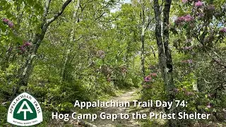 Appalachian Trail 2023: Day 74 - Hog Camp Gap to the Priest Shelter