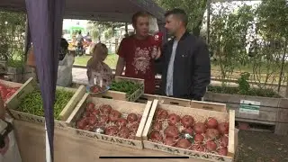 V Festival del tomate de Cantabria en Torrelavega