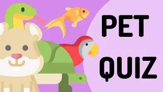 PET Quiz | For Teachers and Kids | Kindergarten Teaching Resource | Timed Guessing Game