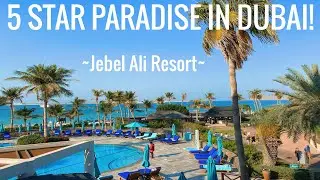 DUBAI: A WALK IN PARADISE || JEBEL ALI RESORT || FILMED ON iPHONE 11 PRO IN 4K