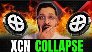 XCN in Freefall &mdash; Can Onyxcoin Survive This Crash?
