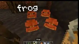 Building a zoo 2
