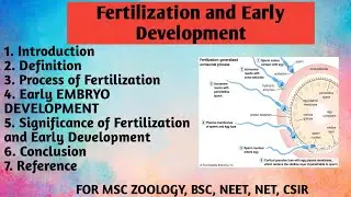Fertilization & Early development | Process | Early embryonic development | Significance