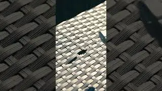 Как починить сломанный ротанг | Простые советы по ремонту садовой мебели своими руками #СадоваяМе...