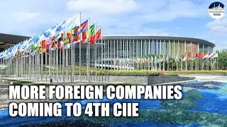 Fourth China Int'l Import Expo(CIIE) attracts more overseas companies #Shanghai