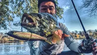 Smallmouth уничтожает приманку River2Sea S-WAVER GLIDEBAIT