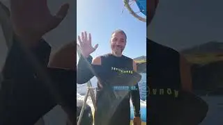 Immersioni sub a Ustica, in Sicilia