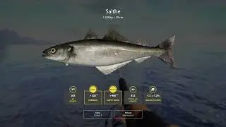 Russian Fishing 4 Float 2022 - Ep 202 - Welcome to Norwegia